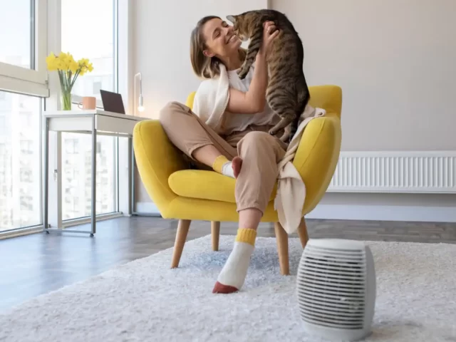 Purificateur d’air : pourquoi l’utiliser chez vous ?